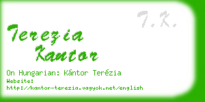 terezia kantor business card